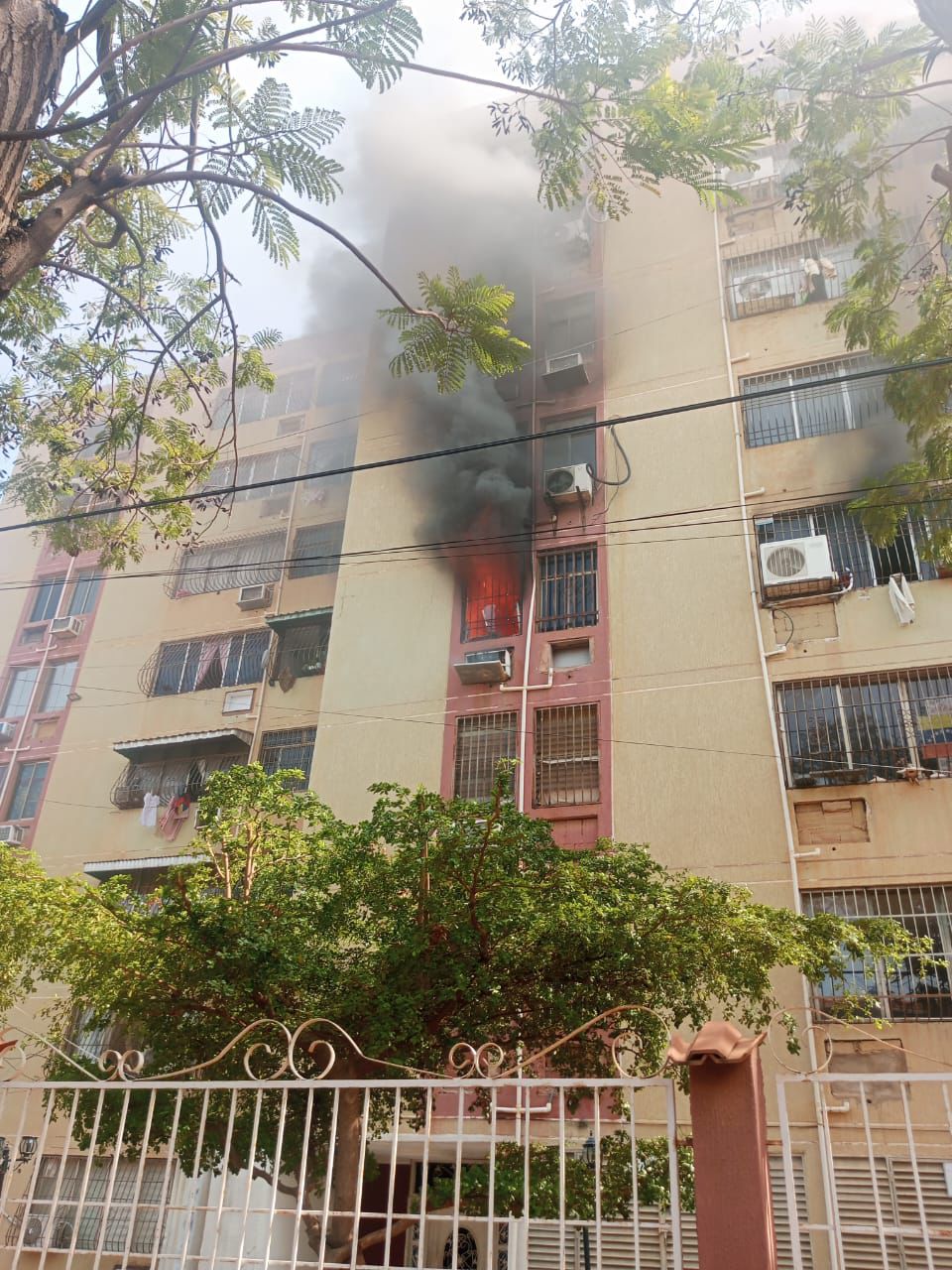 Acción conjunta de Bomberos de San Francisco y Seguridad Ciudadana evita tragedia en incendio registrado en Plaza del Sol