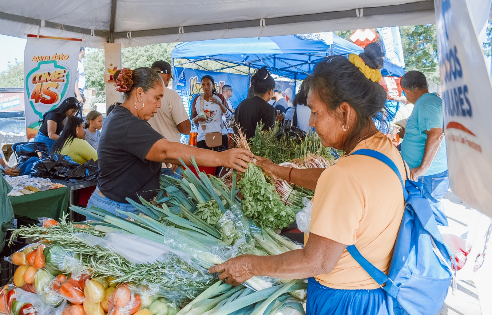 Más de 1.600 familias de Marcial Hernández reciben atención integral gracias a jornada social de la Alcaldía de San Francisco