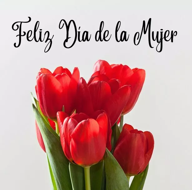 Comunidad Activa Noticias celebra la fuerza, valentía y determinación de las mujeres en su día