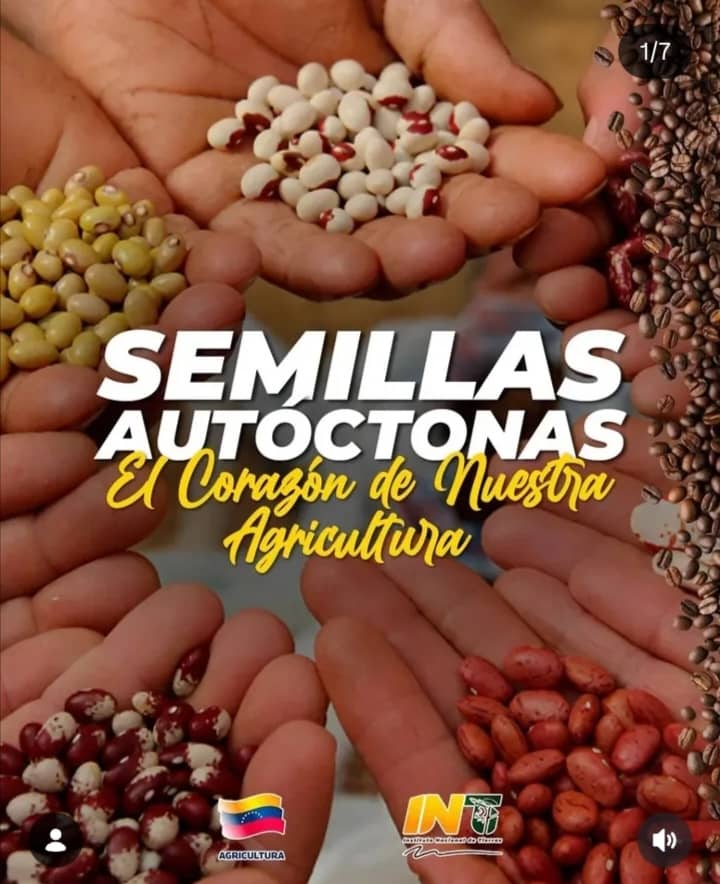 Alcaldía de Maracaibo impulsa Semana de Recolección de Semillas Nativas