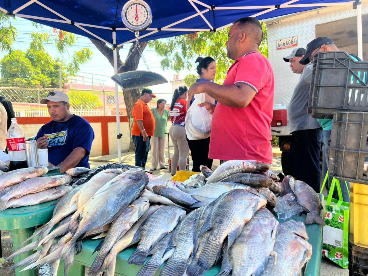 ‎Más de 4.200 familias beneficiadas en la Feria del Pescado en Maracaibo