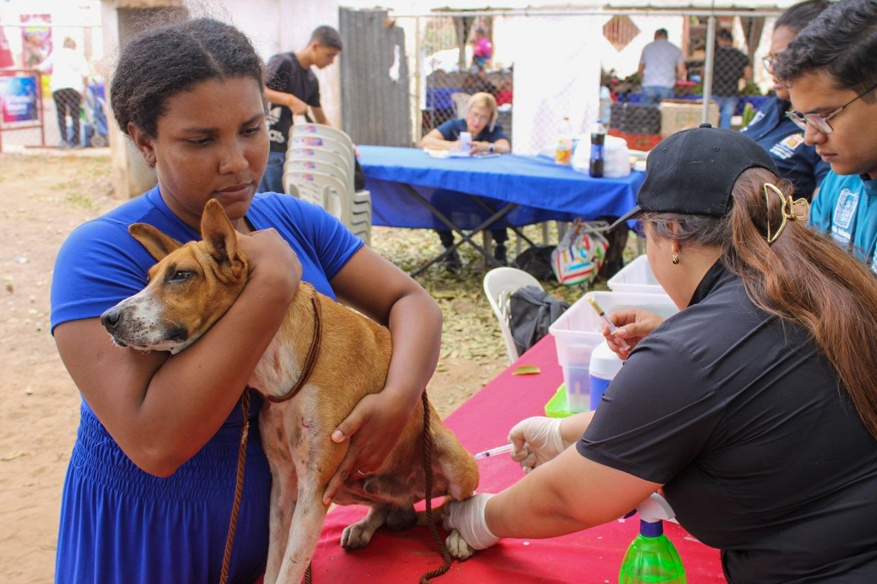 Vacunación antirrábica gratuita llega a la parroquia Juana de Ávila