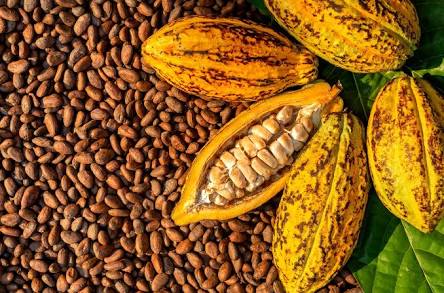 Maracaibo será sede de la I Feria Artesanal de Café, Cocuy, Cacao y Miel este 9 y 10 de mayo