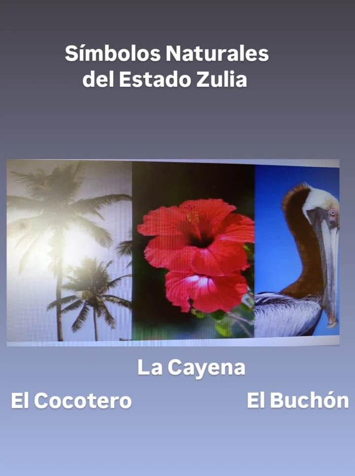 Se conmemora la Semana de la Conservación