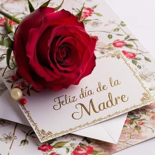 Comunidad Activa Noticias extiende un mensaje lleno de amor a todas las madres en su día