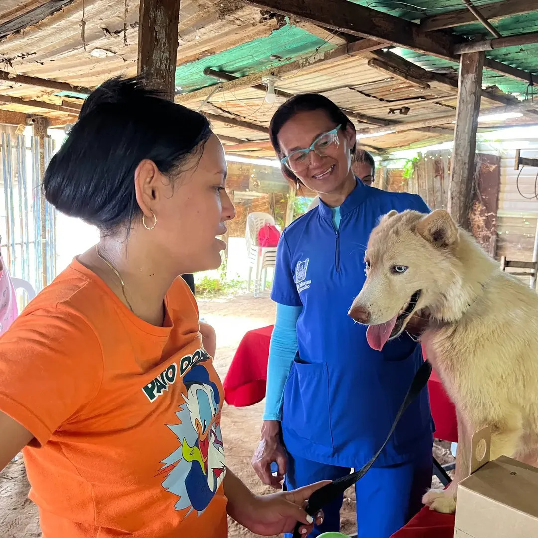 IMPA promueve adopciones y jornadas de esterilización para mascotas en Maracaibo