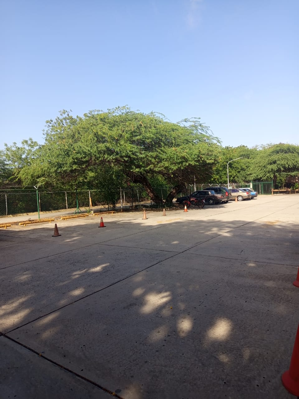 Funciona el veranillo de San Juan en Maracaibo