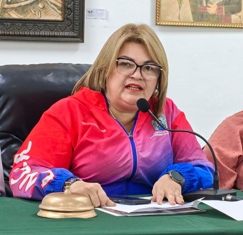 Concejo Municipal de Maracaibo debate ordenanzas para prevención de riesgos en la ciudad