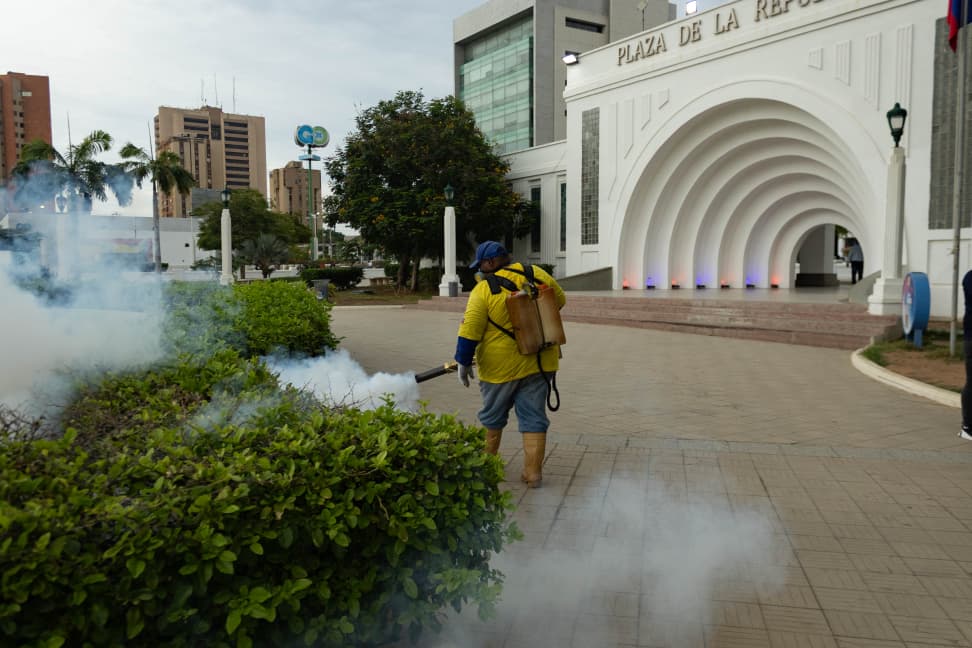 Alcaldía de Maracaibo inició plan especial de fumigación y control de vectores en distintos sectores de la ciudad
