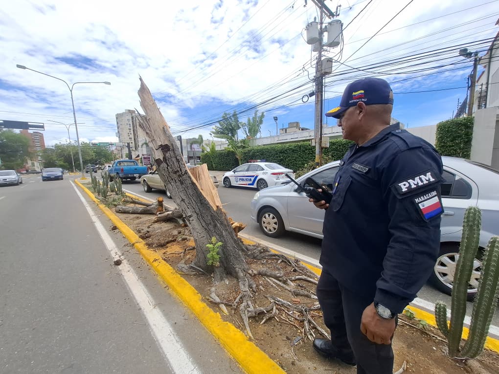 Alcaldía y Polimaracaibo se mantienen en la calle ante las precipitaciones