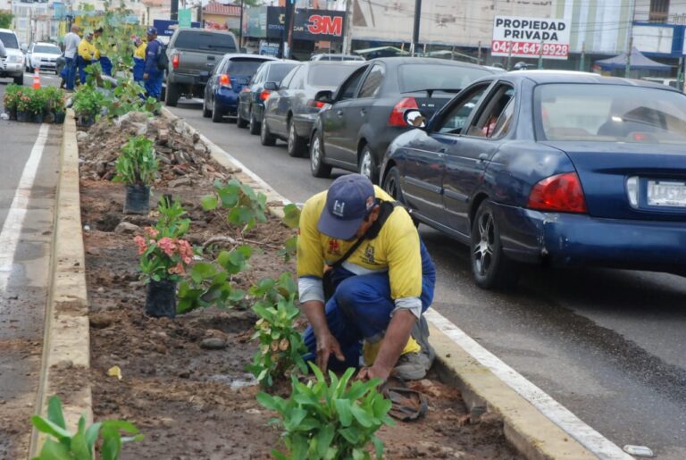 Nueva ordenanza del IMA impulsará guardianes ambientales y un Observatorio para proteger el ambiente