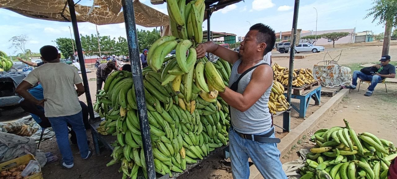 SEDEBAT prevé iniciar proceso de formalización de comerciantes de Esomercasur