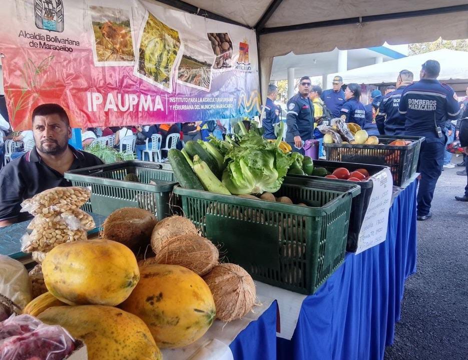 Agroproductores de Maracaibo aportan el 48% de los alimentos que consumen los hogares del municipio