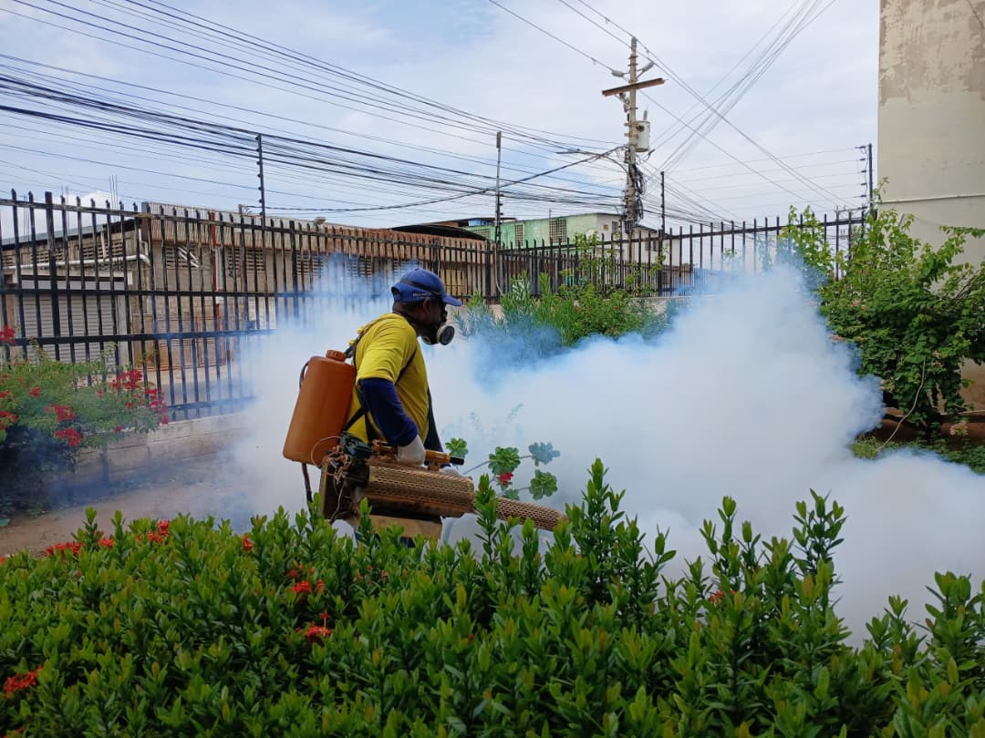 Alcaldía de Maracaibo fumigó en Francisco E. Bustamante, Cecilio Acosta, y Raúl Leoni
