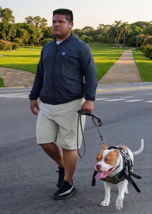 Alcaldía de Maracaibo invita a la primera “Caminata en Manada” por el bienestar canino