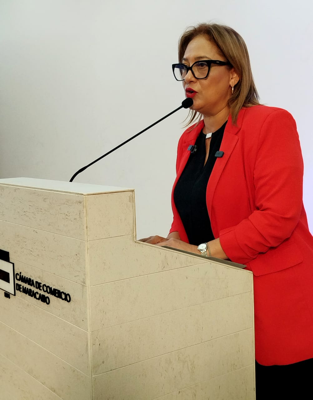 Alcaldía y sector privado elaborarán Plan de Desarrollo Urbano para modernizar Maracaibo