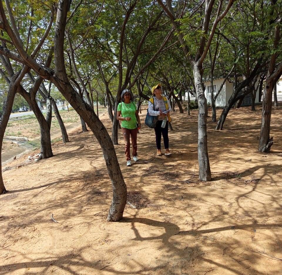 Bosque Comunitario Los Olivos celebra el October Big Day: Pulmones verdes y biodiversidad urbana como clave para la salud mental y ambiental