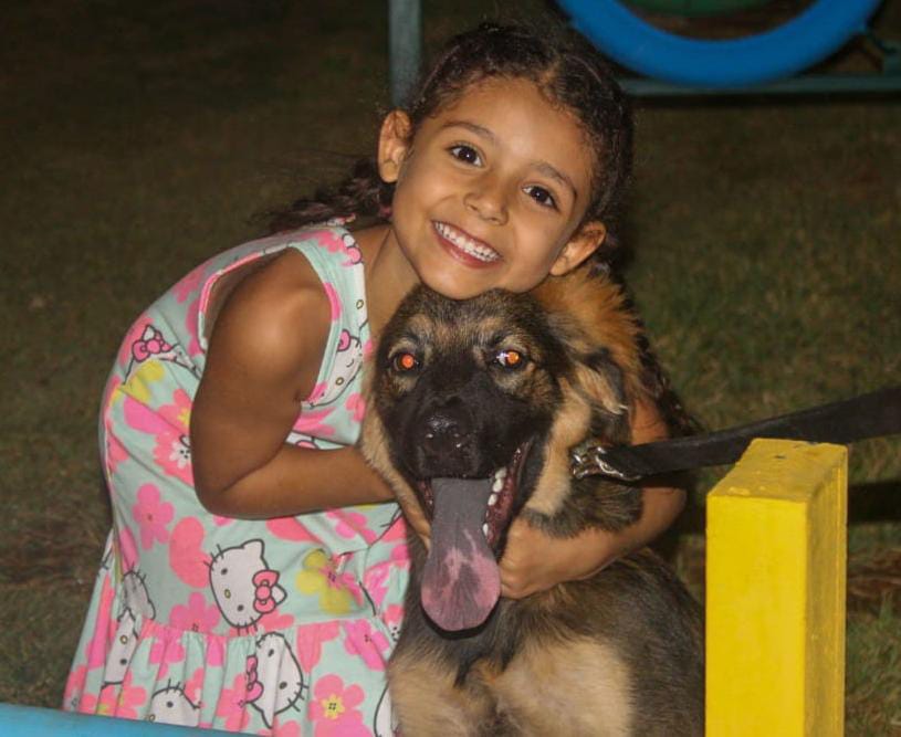 Alcaldía de Maracaibo impondrá sanciones severas contra el maltrato animal